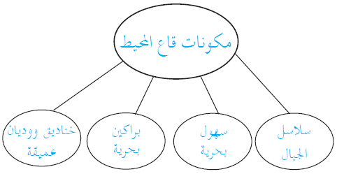 صف تفاصيل شكل قاع البحار والمحيطات؟